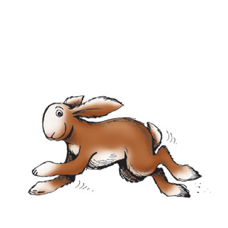 Butterscotch the rabbit, jumping.