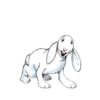 Mister B the rabbit, happy.